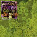Animal Collective