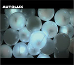 Autolux - Future Perfect