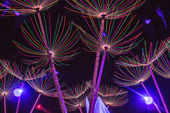 Beyond Wonderland Beyond Wonderland
