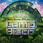 Camp Bisco 2015