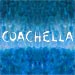 Coachella 2013 Lineup, Tickets, Dates and Rumors