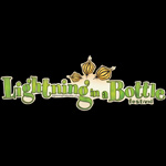 Lightning in a Bottle 2013 | Lineup | Tickets | Dates | Rumors | Video | News