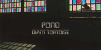 Listen to Pond - &ldquo;Giant Tortoise&rdquo; (MP3 Download)