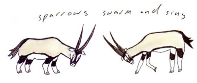 Sparrows Swarm & Sing