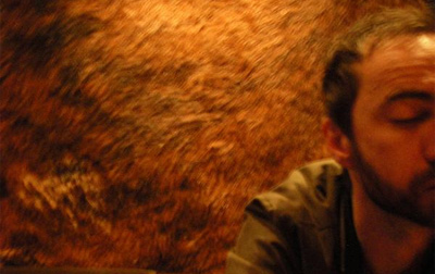 The Shins