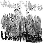 Videhippos