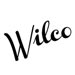 Wilco Tour 2016