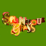 Splendour In The Grass 2011